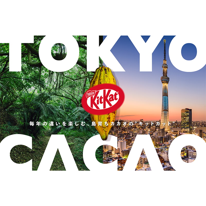 Collaboration between KitKat Japan and Tokyo Cacao, a company producing cacao beans on the Ogasawara islands